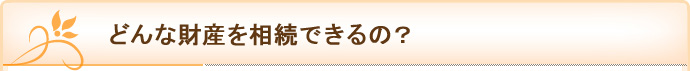 どんな財産を相続できるの？